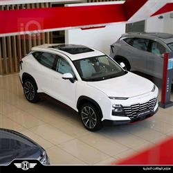 جیتۆر داشينگ